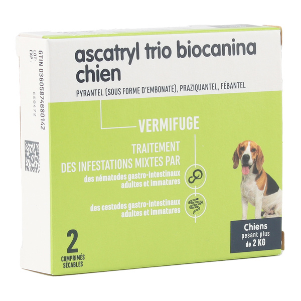 ASCATRYL Chien 5 à 40 kg / BT 4 comprimés AMM