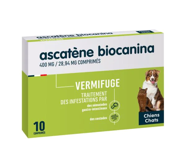 DERMATT / BT 20 comprimés LISTE 1