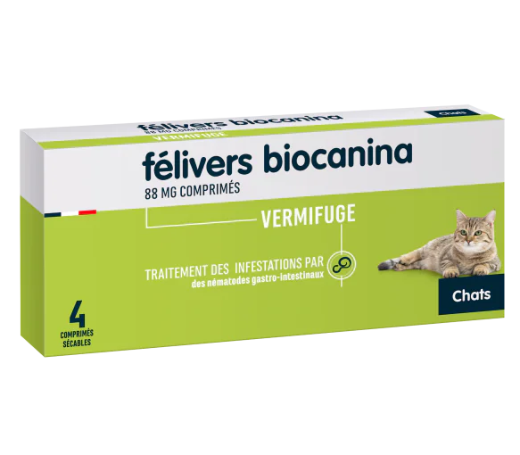 FELIVERS Chat / BT 4 comprimés AMM